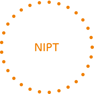 NIPT
