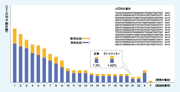 【図1】  cfDNA 断片の解析方法（MPS法）